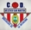 Escudo Club Deportivo Atltico San Martin