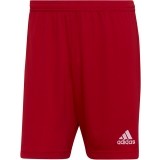 UD Loreto de miclub ADIDAS CALZONA JUEGO PORTEROS 2 UDL01-H61735